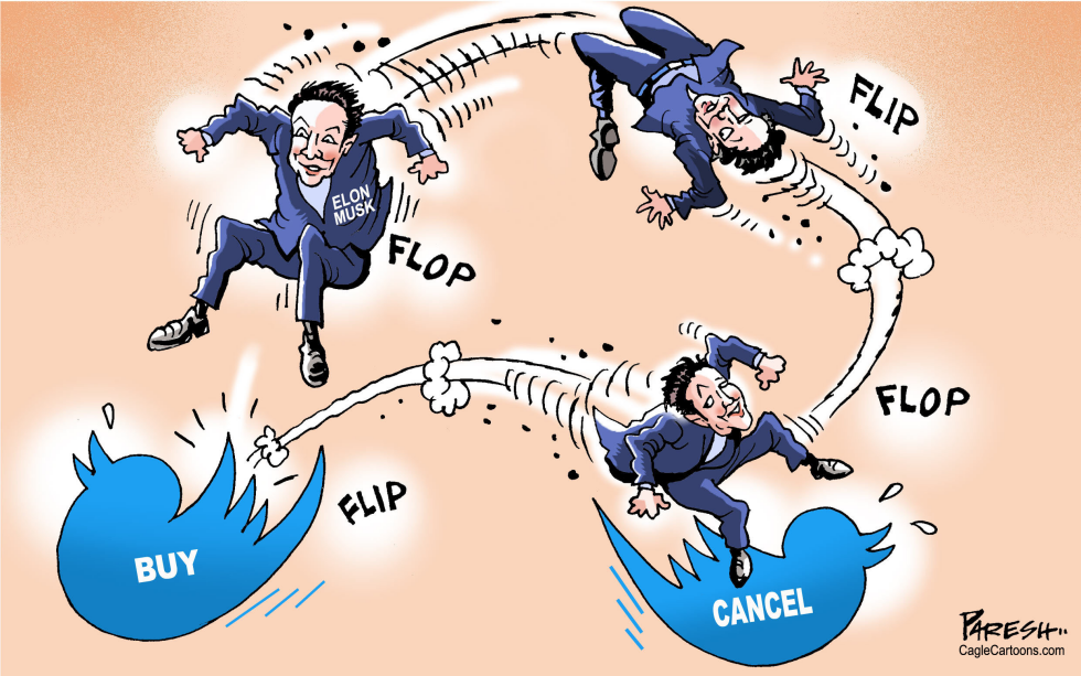 Elon Musk flip-flop