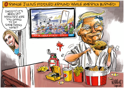 TRUMP FIDDLED WHILE AMERICA BURNED by Dave Whamond