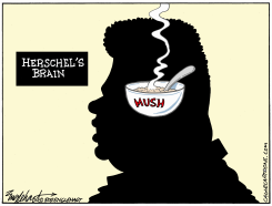 HERSCHEL'S BRAIN by Bob Englehart