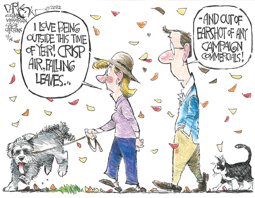 campaign ad nauseam
