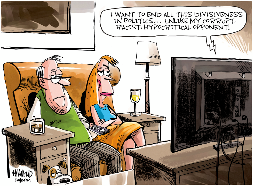 Divisiveness in Politics