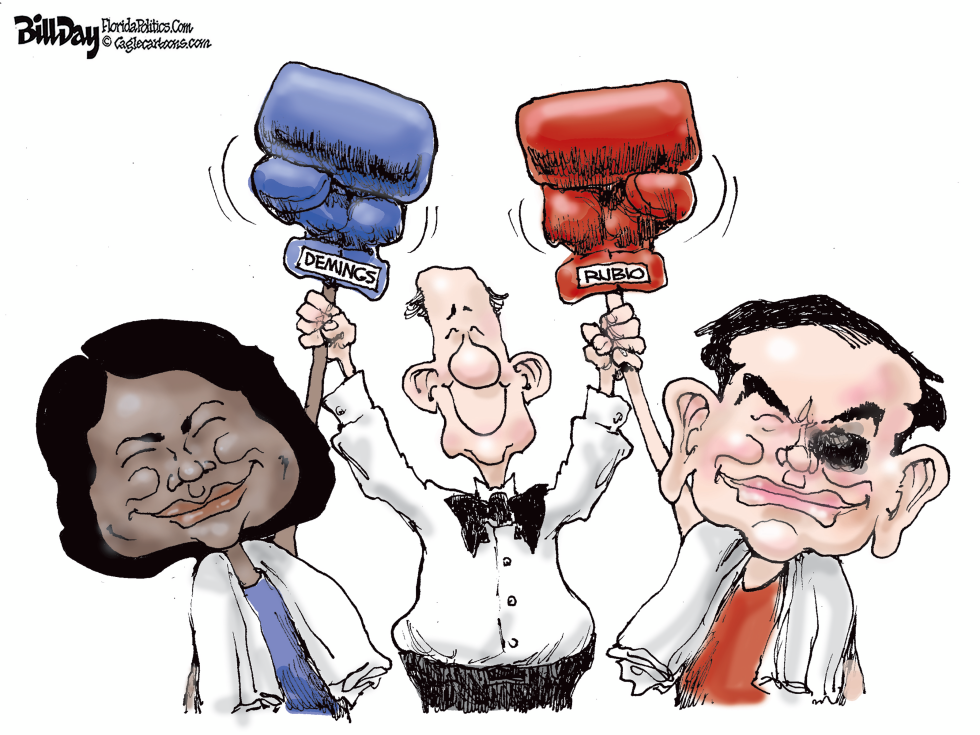 Florida Senate Race