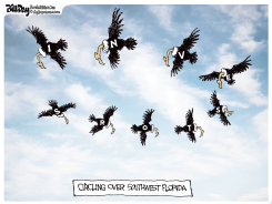 FLORIDA VULTURE INVESTORS by Bill Day