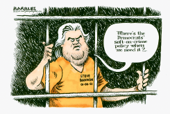 STEVE BANNON SENTENCE by Jimmy Margulies