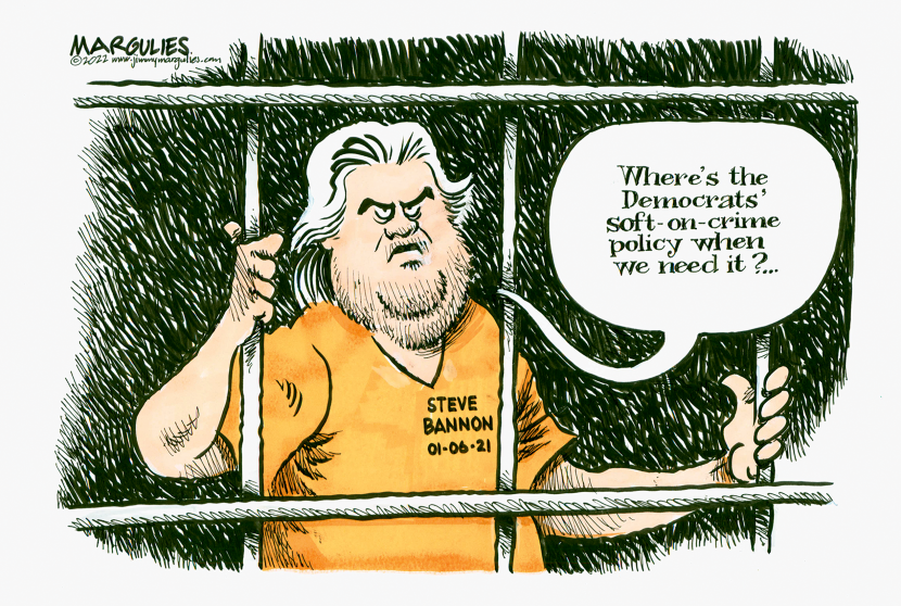 Steve Bannon Sentence