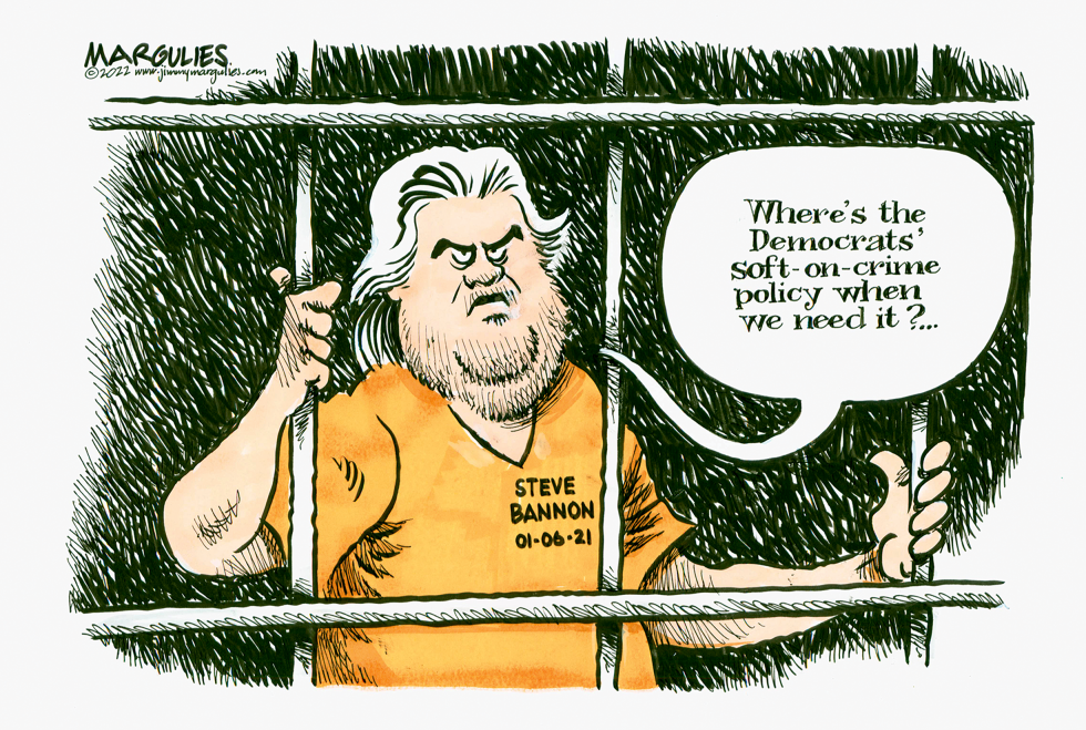 Steve Bannon Sentence