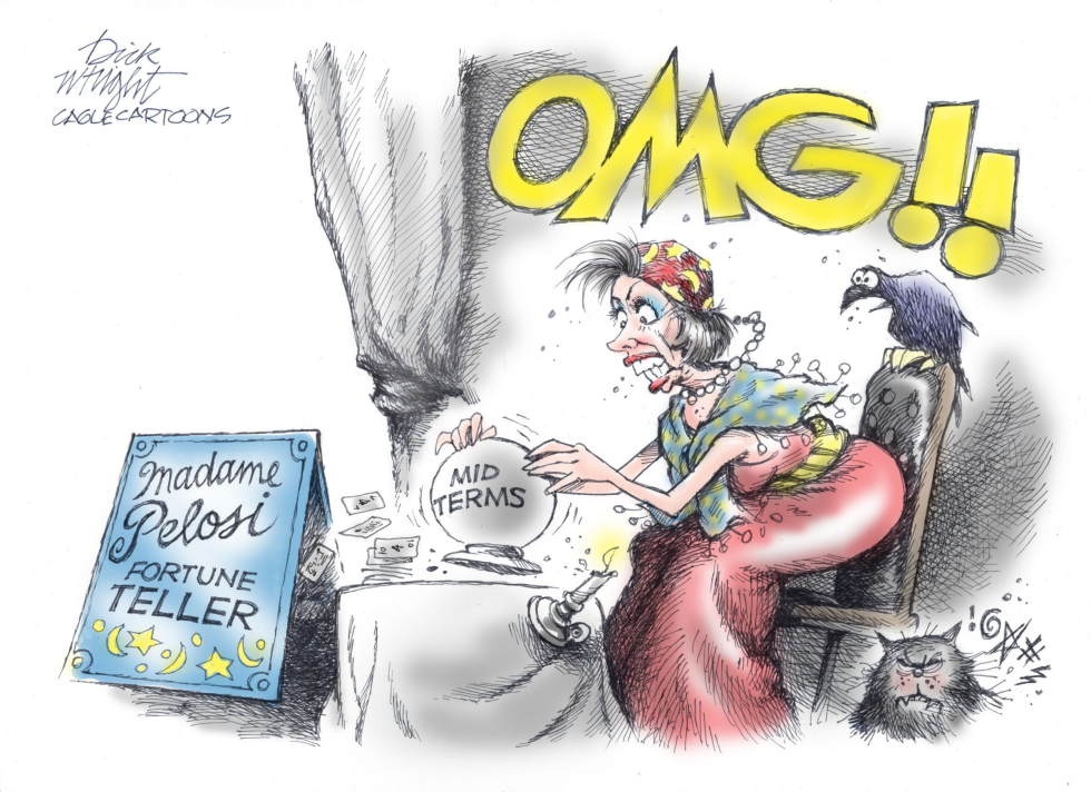 Pelosi and Midterms