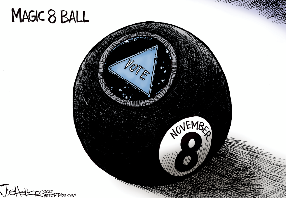 November 8 Vote