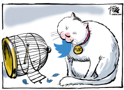 MUSK BUYS TWITTER by Tom Janssen