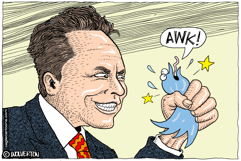 Twitter Demise