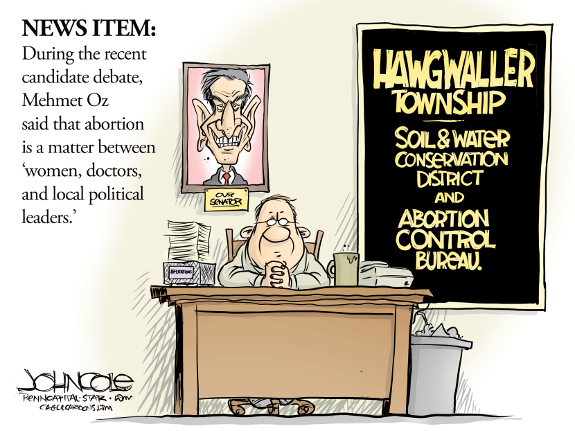 Abortion and 'local government leaders'