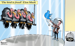 TWITTER UNDER MUSK by Paresh Nath