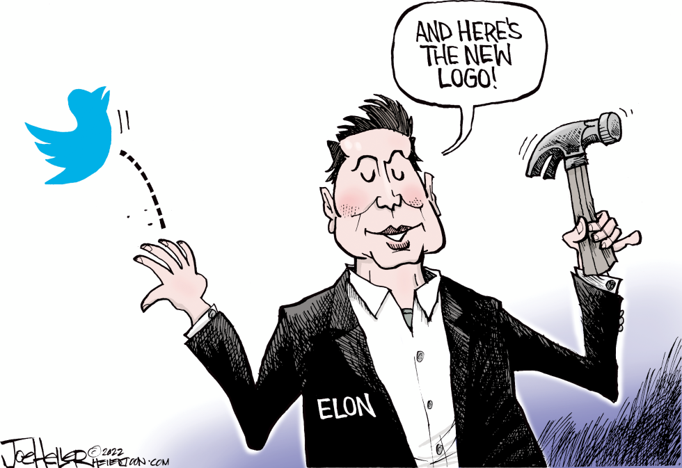 Elon and Twitter