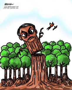 SAVE THE AMAZON by Rayma Suprani