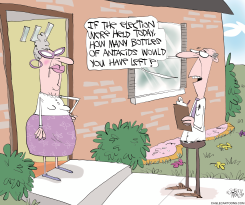 ELECTION POLLSTER by Gary McCoy