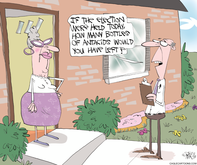Election Pollster