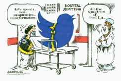 TWITTER UNDER ELON MUSK by Jimmy Margulies