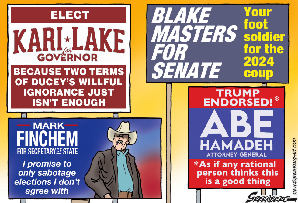 Arizona Campaign SIgns