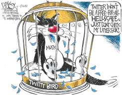 MUSK'S TWITTER HELLSCAPE by John Darkow
