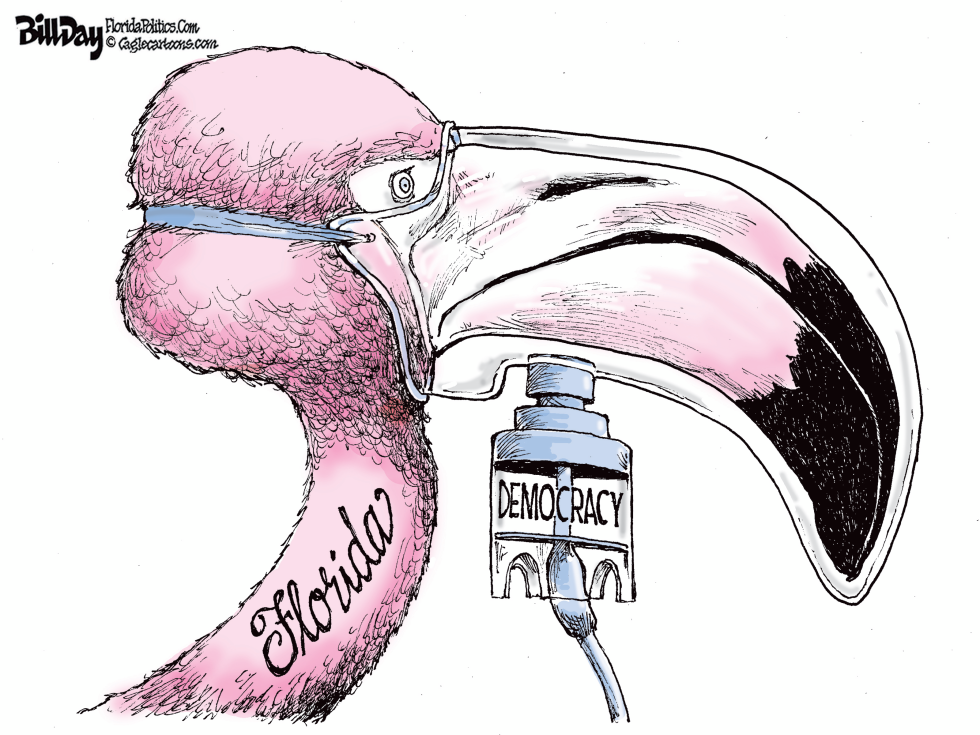 Florida Flamingo on Life Support