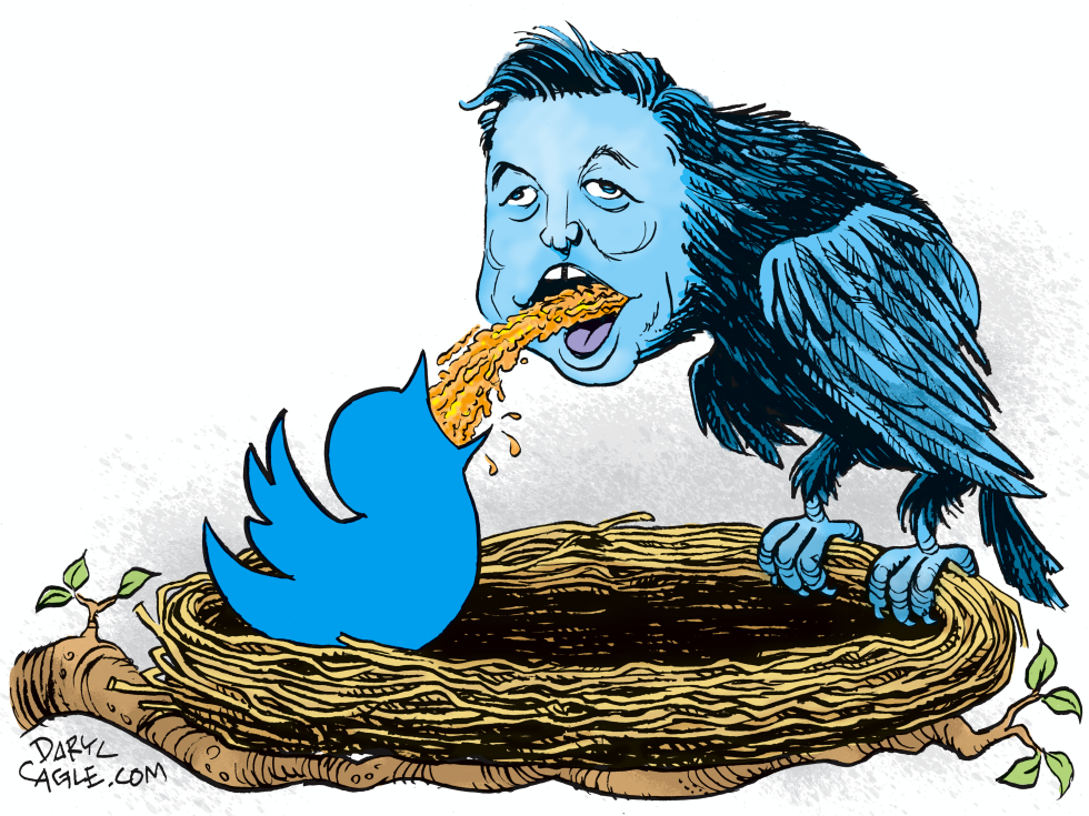 Elon Musk and Twitter Birds
