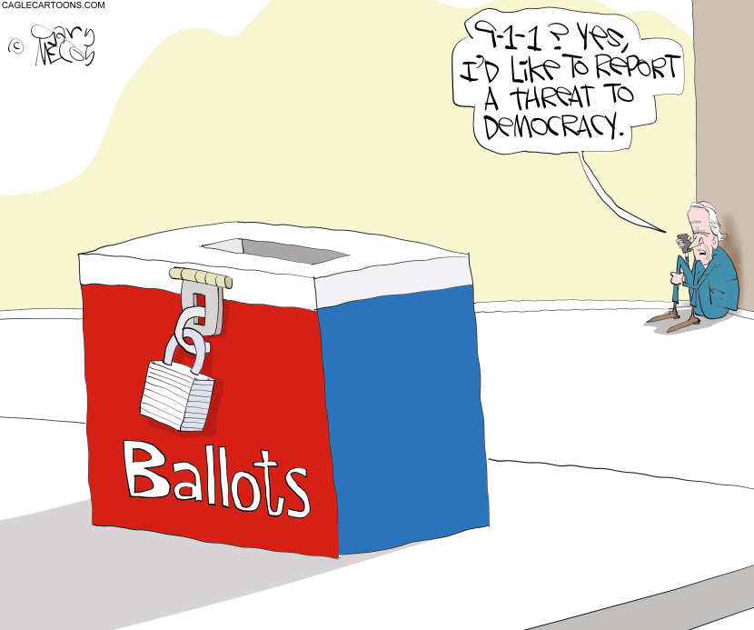 Biden Democracy