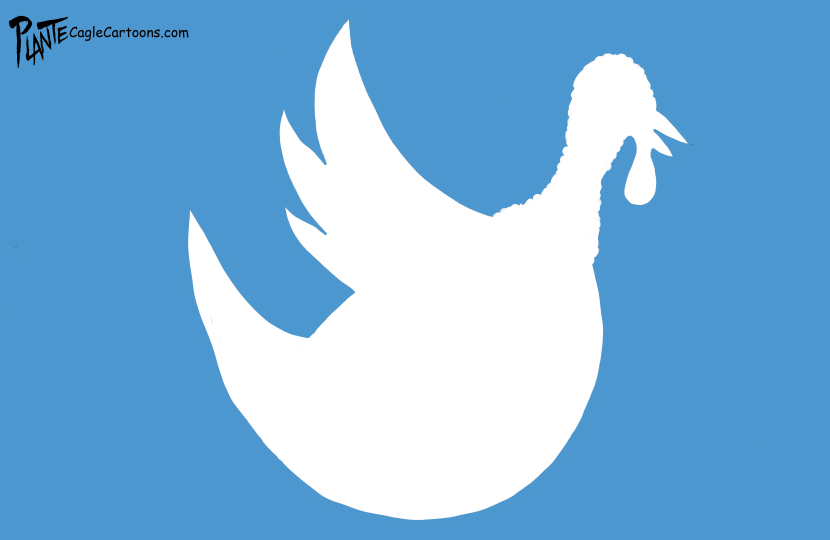 Updated Twitter Bird