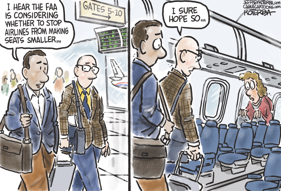 Airline Seats Too Small