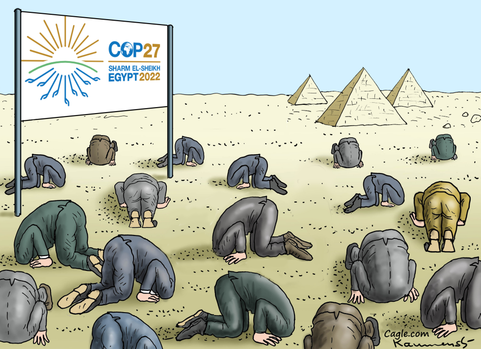 COP 27