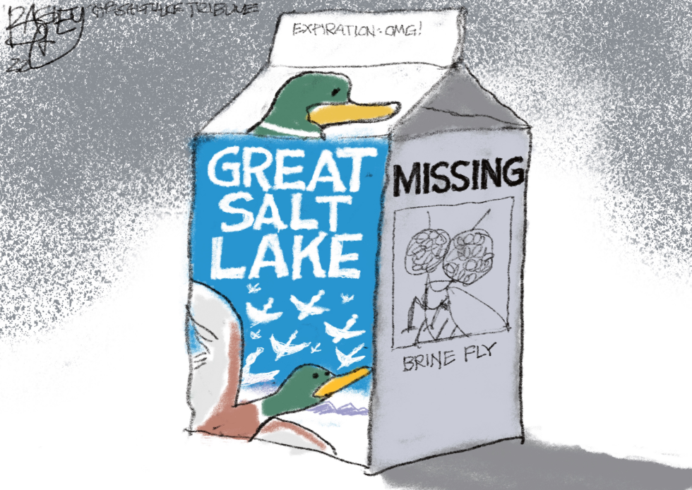 LOCAL: Great Salt Lake