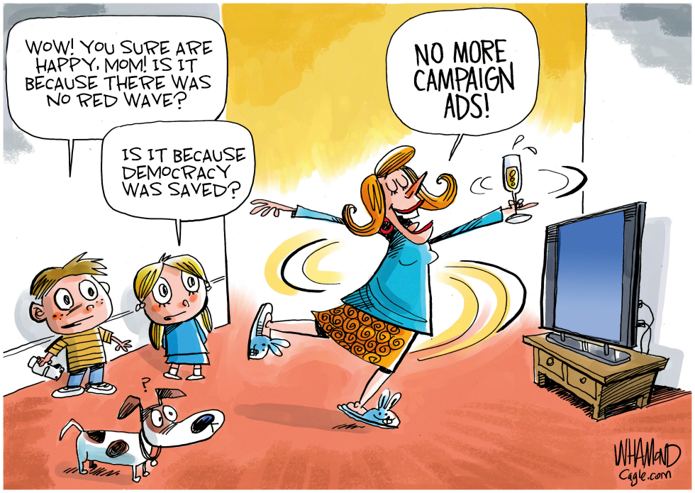Midterm Relief Centers on End of Endless Political Ads
