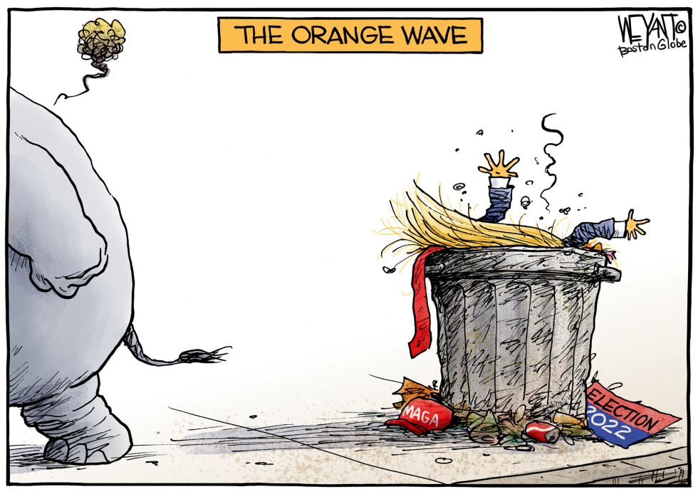 The Orange Wave