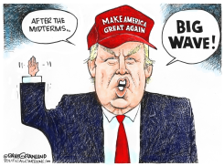 TRUMP MIDTERM BIG WAVE by Dave Granlund