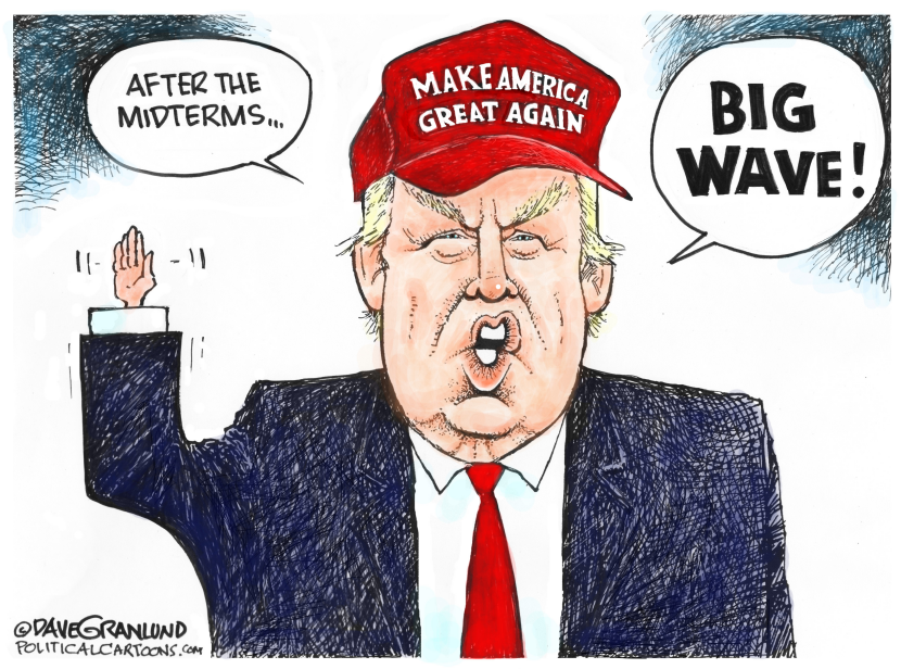 Trump Declares Big Wave After Midterms