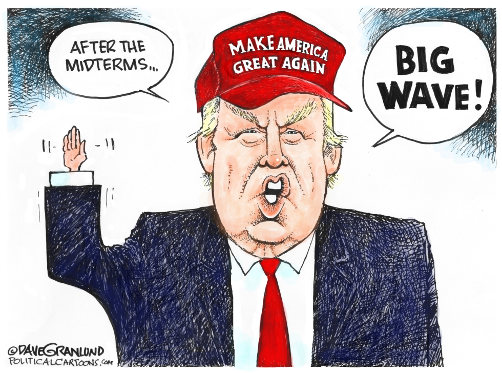 Trump Declares Big Wave After Midterms