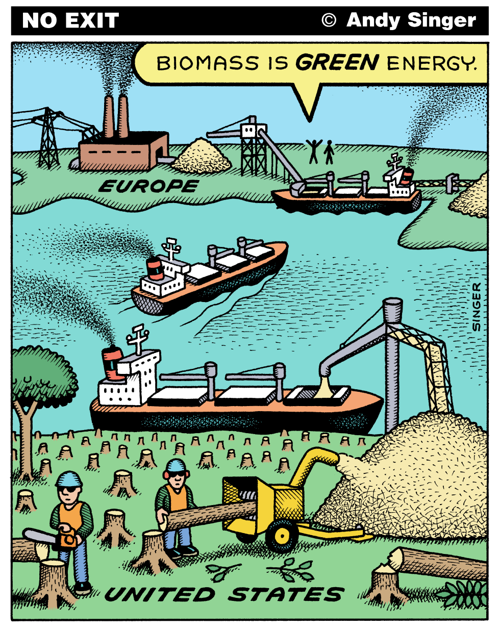Biomass is not Green Energy
