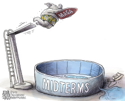 2022 MIDTERMS by Adam Zyglis