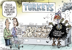 POOR GEORGIA by Joe Heller