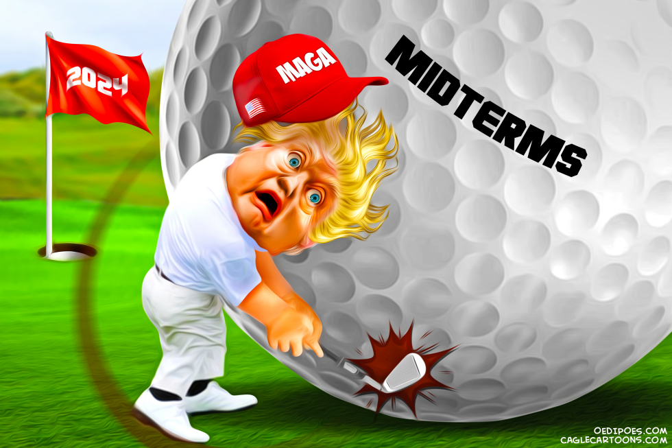 Trump Midterms Fail
