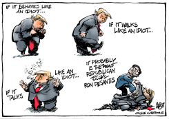 DESANTIS: IF IT WALKS LIKE A DUCK by Jos Collignon