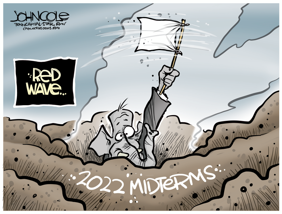 White flag wave