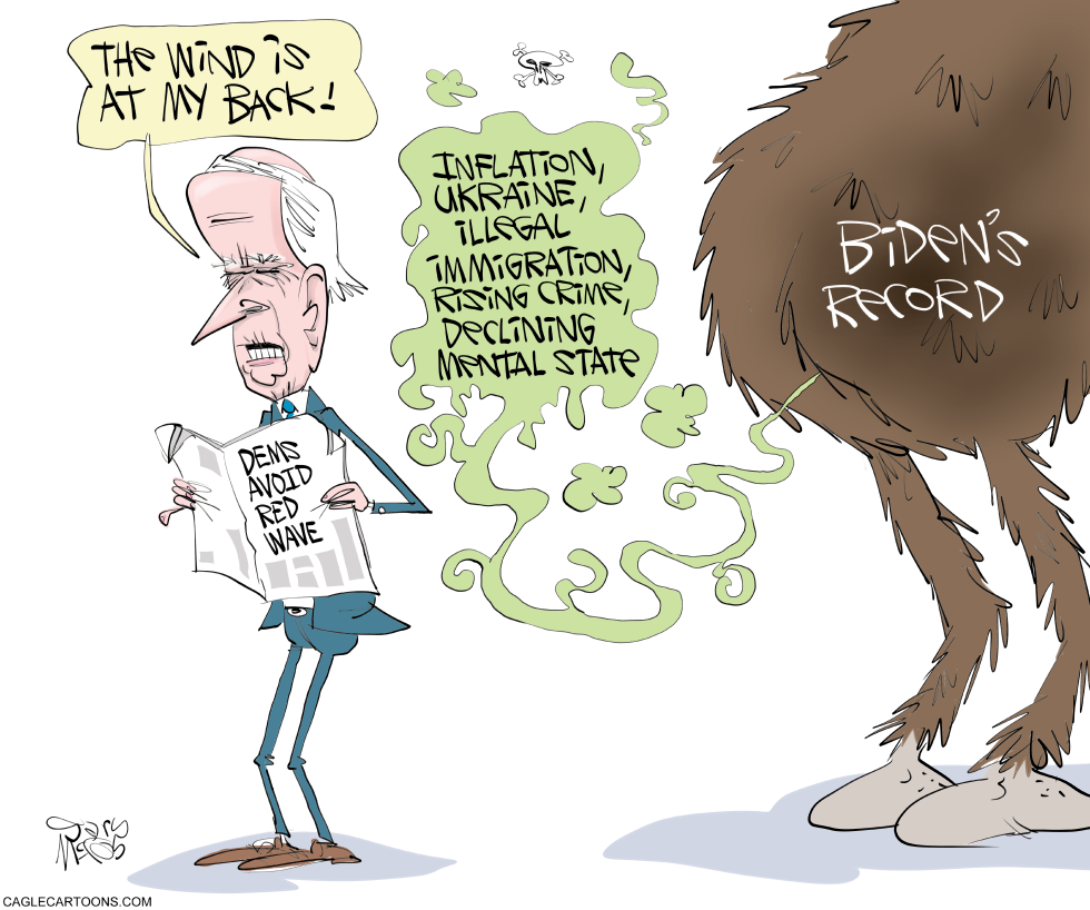 Bidens Wind