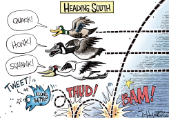 TWITTER HEADING SOUTH by Joe Heller