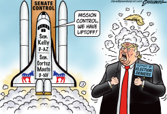 DEMOCRATIC SENATE CONTROL LIFTOFF by Steve Greenberg