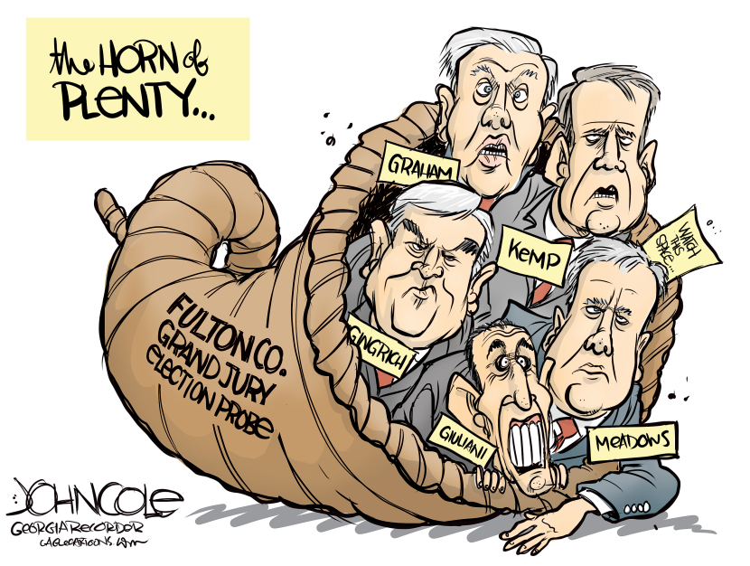 GEORGIA Election probe's horn of plenty
