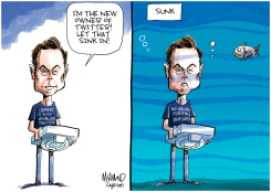MUSK SUNK by Dave Whamond