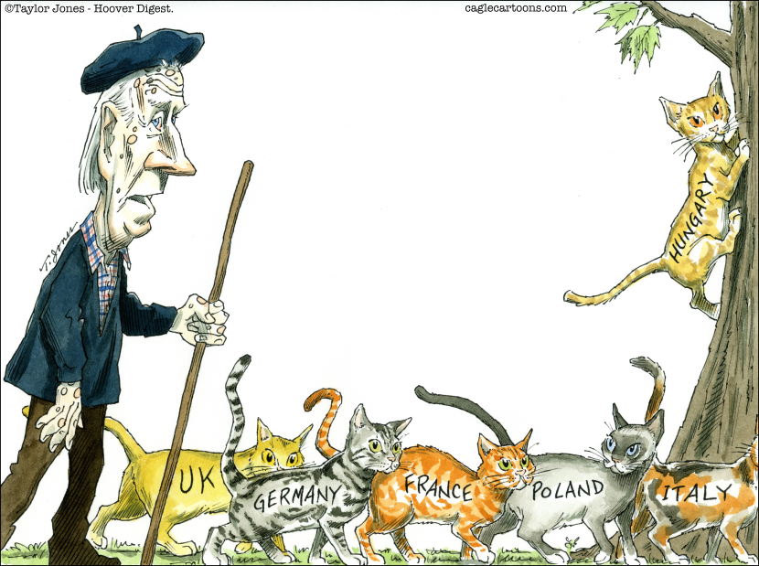 Joe Biden Cat Herder