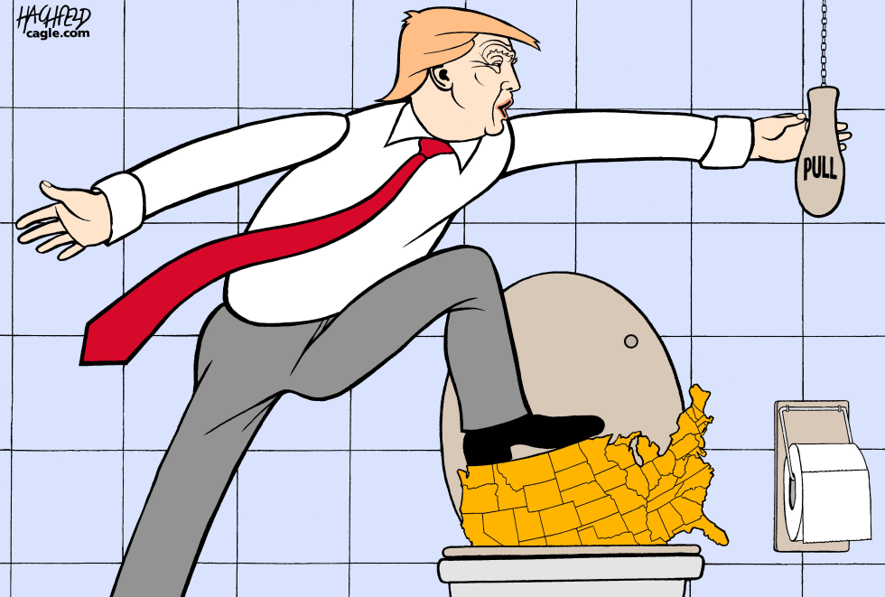 Trump's candidacy