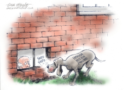 HOUSE BIDEN PROBE by Dick Wright