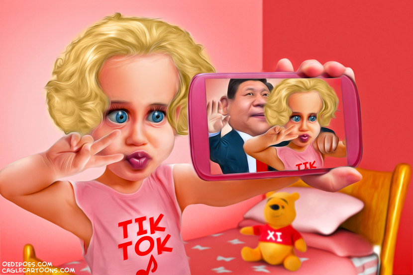 Tik Tok Privacy